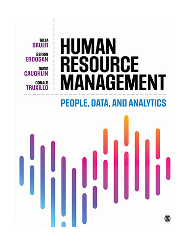 Human Resource Management: People, Data, and Analytics