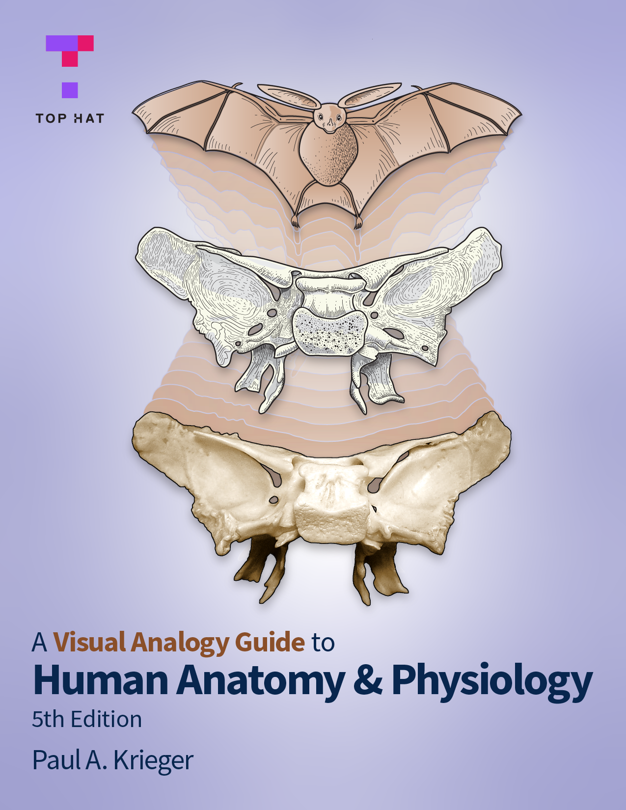 Visual Anatomy Guide to Human Anatomy Physiology