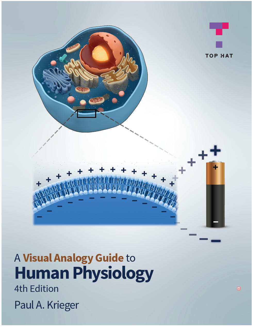 Visual Analogy Guide to Human Physiology