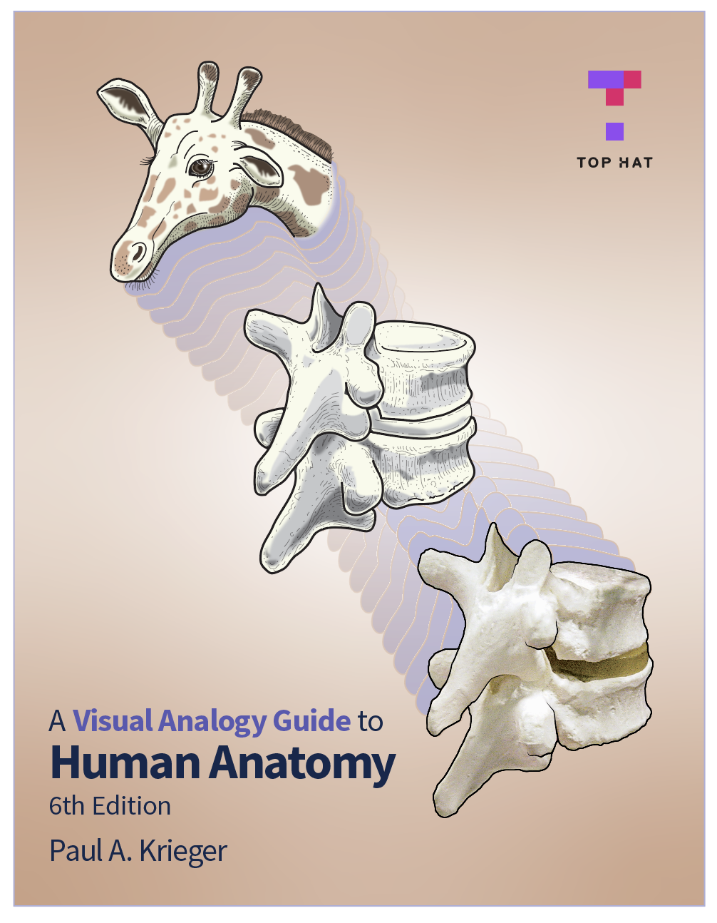 Visual Guide to Human Anatomy