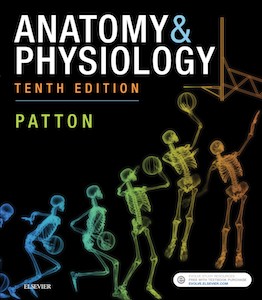 Anatomy & Physiology, 10th edition